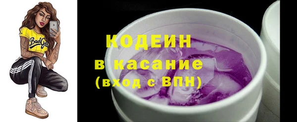 МДПВ Дмитриев