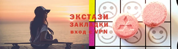индика Гусиноозёрск