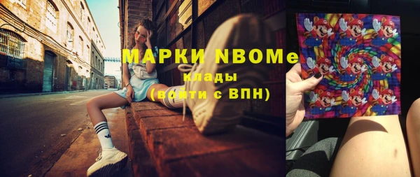 МДПВ Дмитриев