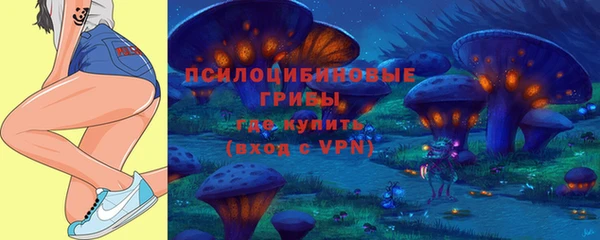 МДПВ Дмитровск
